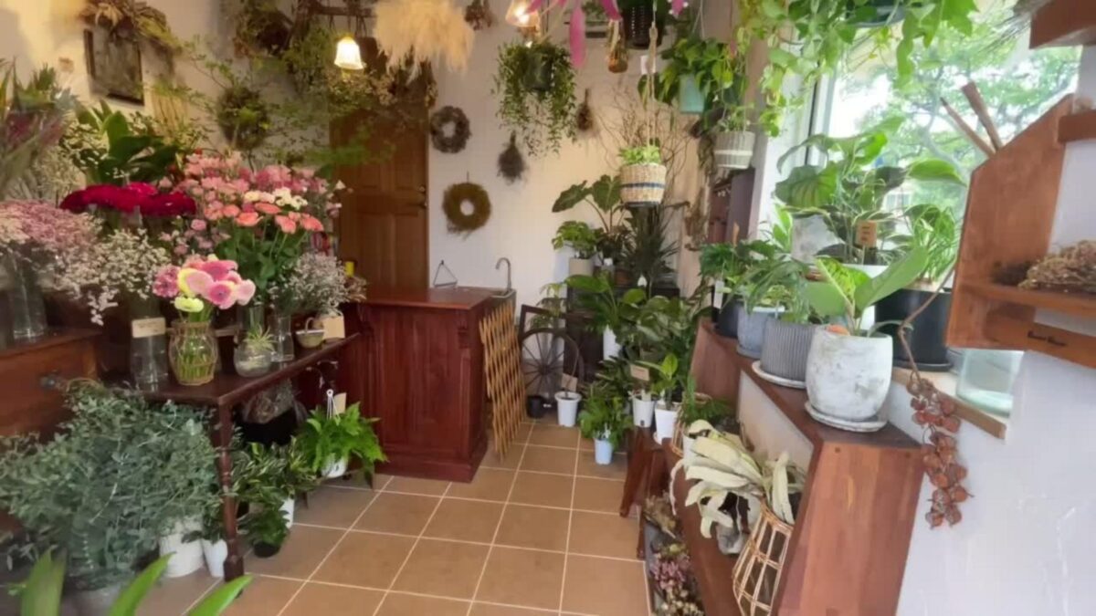 flower shop花の森 | 滋賀県守山市、くすのき通りにある花屋です。